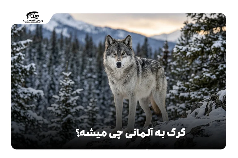 گرگ به آلمانی